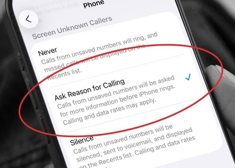 How To Activate Scam Protection On iPhone