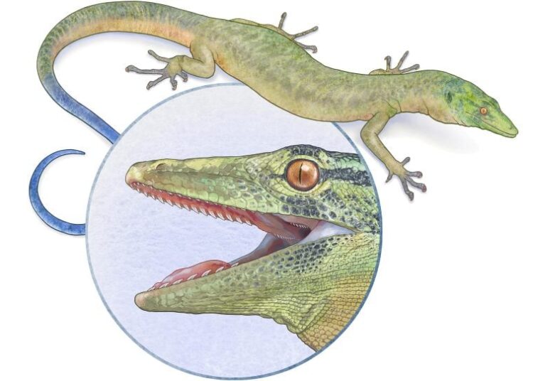 167-Million-Year-Old Lizard With Snake-Like Jaws Puzzles Scientists