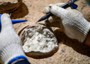 “An Atomic Clock for Fossils”: Scientists Directly Date Dinosaur Eggs for the First Time
