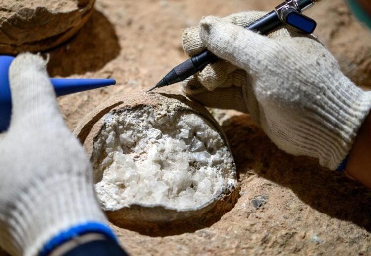 “An Atomic Clock for Fossils”: Scientists Directly Date Dinosaur Eggs for the First Time