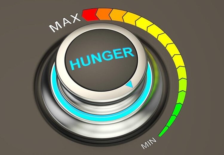 Scientists Find Hidden Switch Controlling Hunger