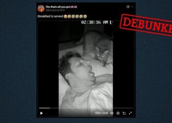 Did a cat really drop a mouse in its owner's mouth? How to spot new AI-generated videos