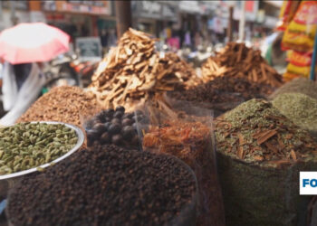 Exploring India's spice route: A thousand-flavour journey through Kerala