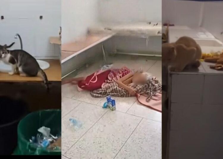 Shortages, sanitation issues and corruption: Morocco’s public hospitals at a breaking point