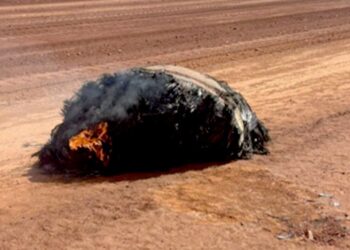 Burning space debris which crashed to Earth may have come from Chinese rocket, says expert | World News