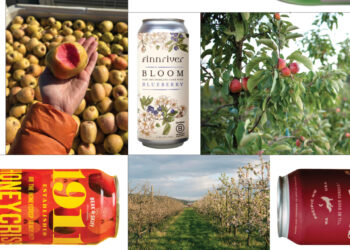 These New-School Ciders Are So Right for the Holiday Table