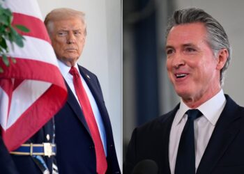 Newsom Trolls Trump With AI ‘Piggy’ Pics After President Insults Reporter