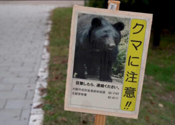 Japan has deployed his army to counter beat attacks