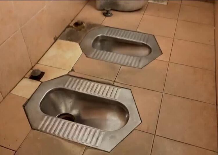 China's toilet revolution: World toilet day aims to promote clean sanitation for all