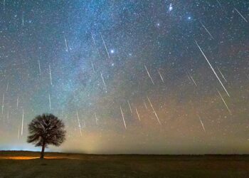 How to Watch the Leonids Meteor Shower