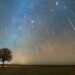 How to Watch the Leonids Meteor Shower