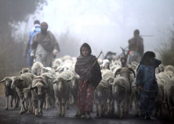 The Women Carrying Water—and the World