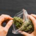 Your Weed Might Not Be As Strong as the Label Says, Scientists Find