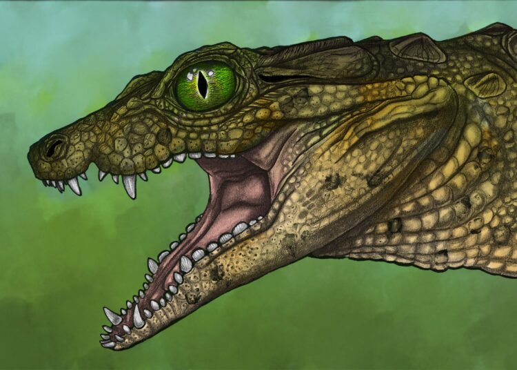 Tiny 95-Million-Year-Old Croc Relative Baffles Scientists With Its Strange Teeth