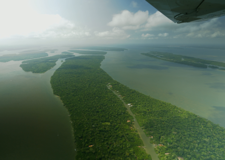 Brazil ‘surprised’ UK not investing in new rainforest fund it helped design | Science, Climate & Tech News