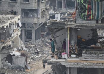 UN Security Council backs Trump peace plan for Gaza | World News