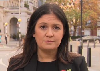 Govt ‘gripping’ prisons crisis as ‘unacceptable’ mistaken releases have risen, minister says | Politics News