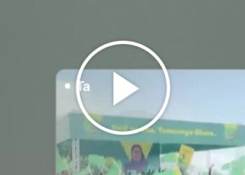 The ‘Trump Effect’ on Global Elections