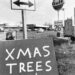 Christmas Through the Eyes of Photographer Lee Friedlander