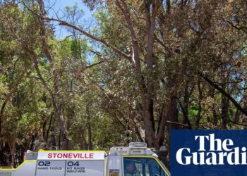 Western Australia faces bushfire threat as cold, wet and bumpy Sydney to Hobart yacht race forecast | Australia weather