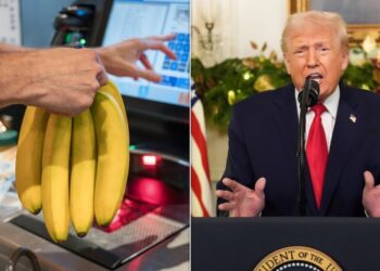 Trump Claims Costs Are Lower — But Data On Groceries Tells A Different Story