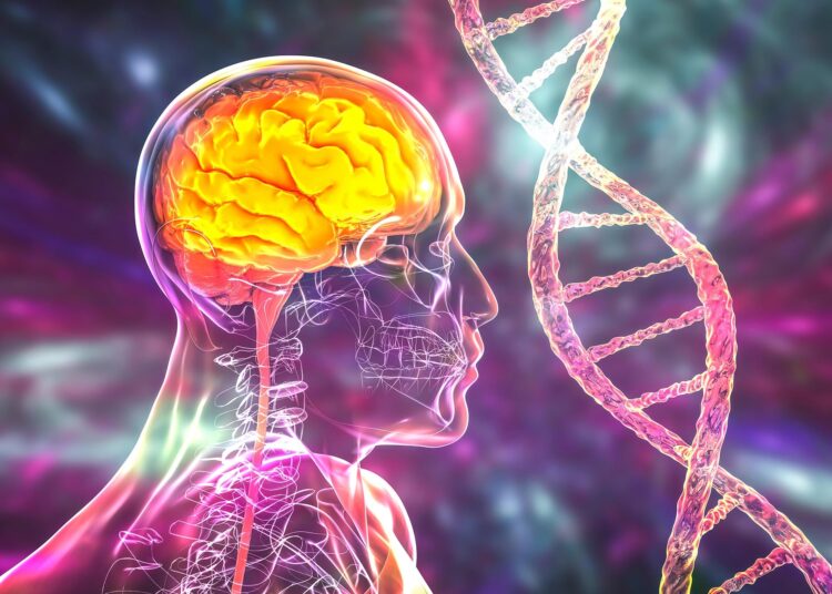 Scientists Find Alzheimer’s Clues Hidden in DNA Once Dismissed As “Junk”