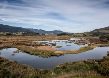 Guggenheim Bilbao Scraps Urdaibai Expansion After Environmental Backlash