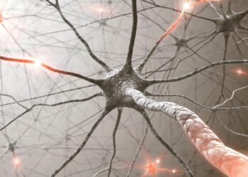 Scientists Discover How Damaged Neurons Sometimes Defy Degeneration