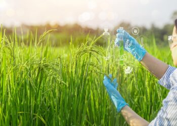 Breakthrough Discovery Could Make Rice Cheaper, Healthier, Cleaner