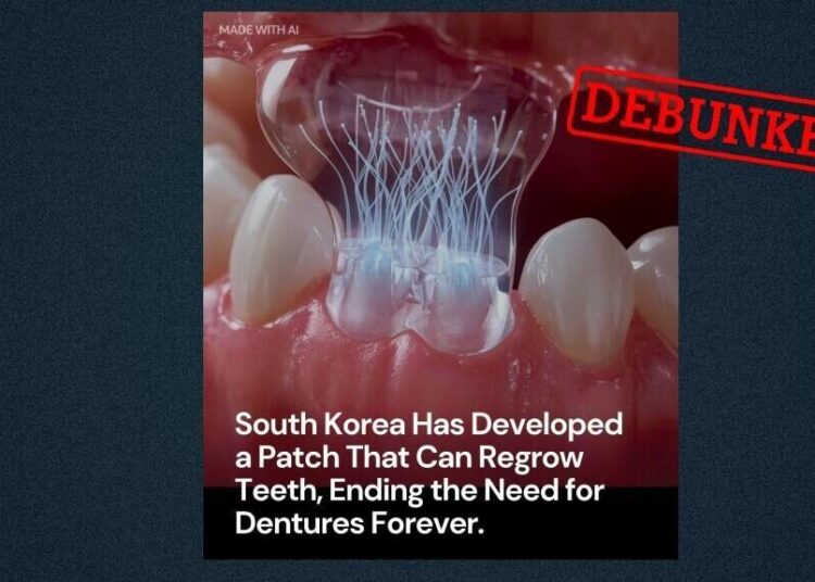 No, this South Korean patch does not regrow teeth