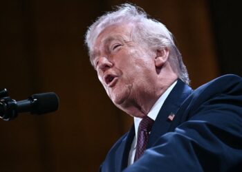 Man Guilty Of Forging Threat Against Trump To Get Witness Deported