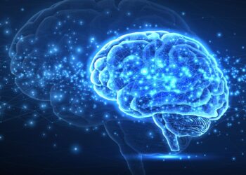 Scientists Are Surprised by How Closely the Brain Resembles AI