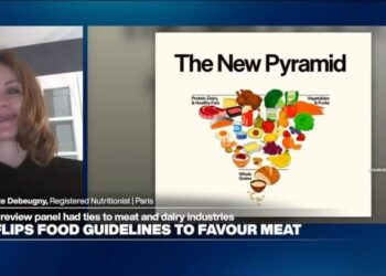 New 'controversial' US food guidelines include 'focus on animal protein and full-fat dairy'