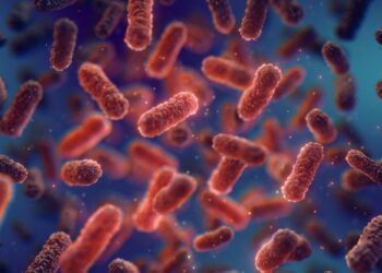 Scientists Discover Natural Protein That Traps and Kills Harmful Bacteria
