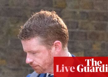 Morgan McSweeney resigns and says he takes ‘full responsibility’ for advising Starmer to appoint Mandelson – UK politics live | Politics