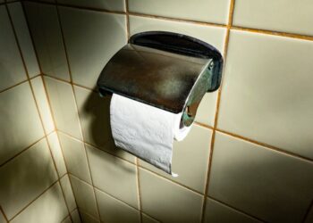 Wet Wipes For Wiping Butt? Doctor Says No