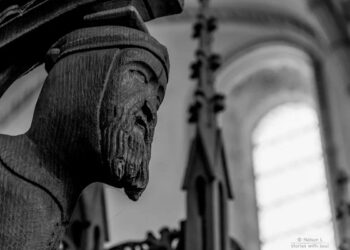 939 Skeletons Challenge Medieval Disease Myths