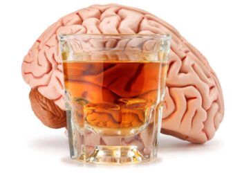 The Brain May Be Wired for Drinking Before the First Sip