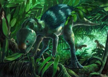 A Tiny Dinosaur With a Weird Skull Is Rewriting Evolution