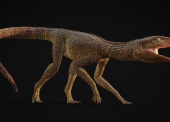 Scientists Discover Unusual Long-Legged Ancient Crocodile From 200 Million Years Ago