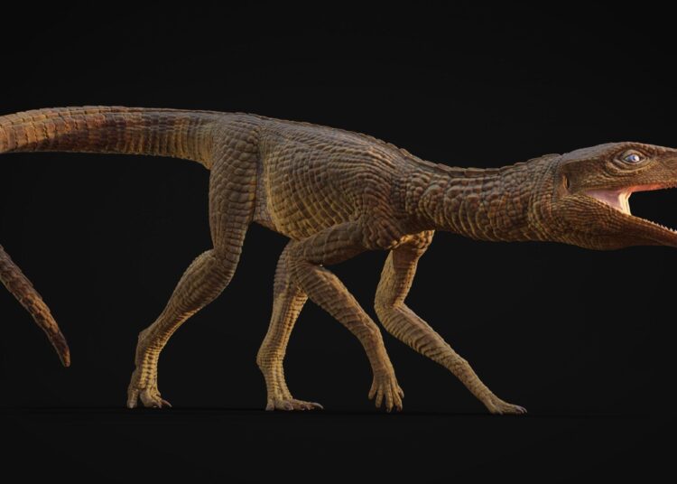 Scientists Discover Unusual Long-Legged Ancient Crocodile From 200 Million Years Ago