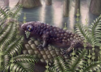 A 307 Million-Year-Old Skull Reveals a Surprising Shift in Early Diets