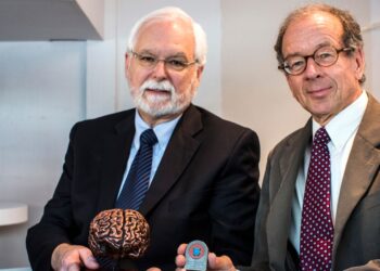 ‘Tipping point’ reached in creation of brain chips to help ‘unlock’ minds of people with paralysis | Science, Climate & Tech News