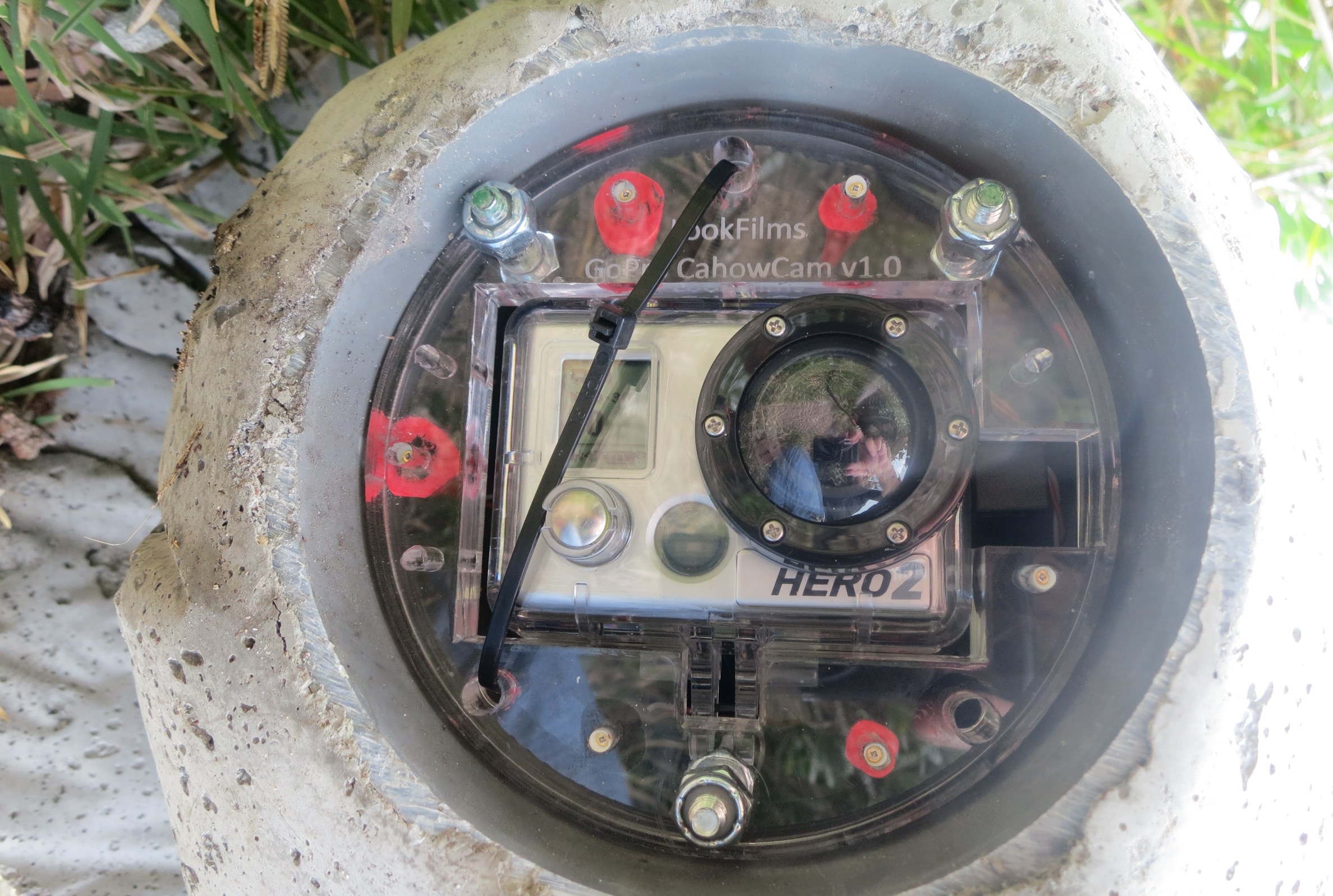 Prototype camera in four-inch PVC pipe embedded in cement of an artificial Bermuda petrel nest burrow lid.