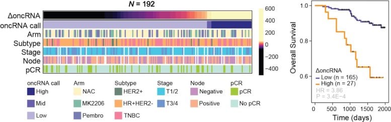 oncRNA Presence in Patient Tumors
