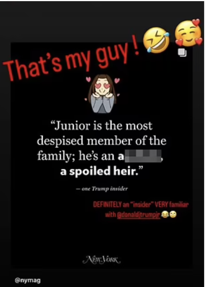 One of Bettina Anderson's Instagram Story responses to the New York Magazine story about Donald Trump Jr.
