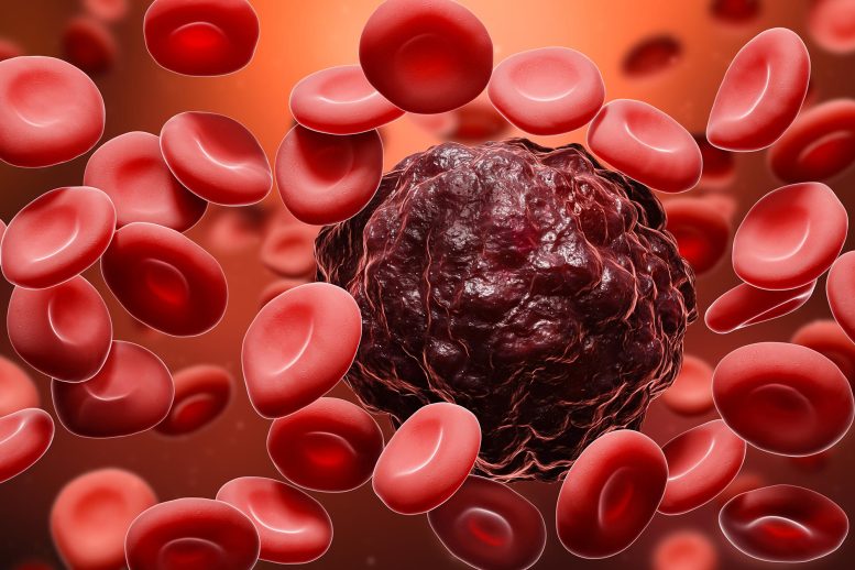 Cancer Cell Amidst Red Blood Cells