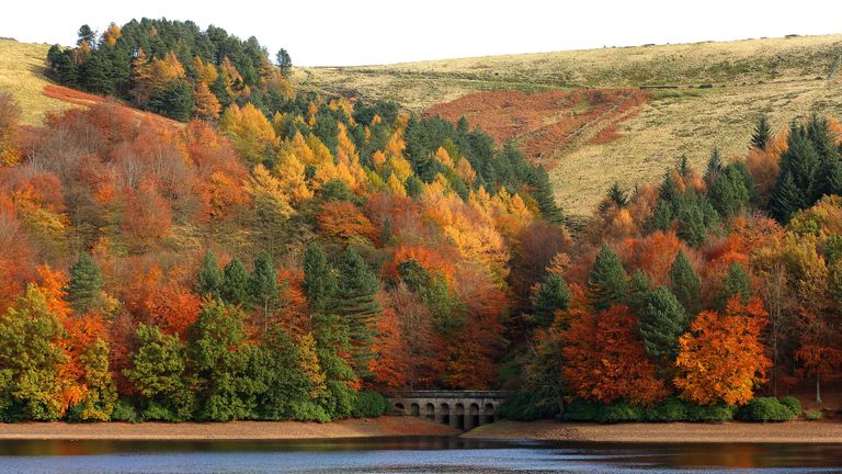 Trees will explode into an array of colour in the coming weeks, like these on Derwent Reservoir in the Peak District Pic: PA