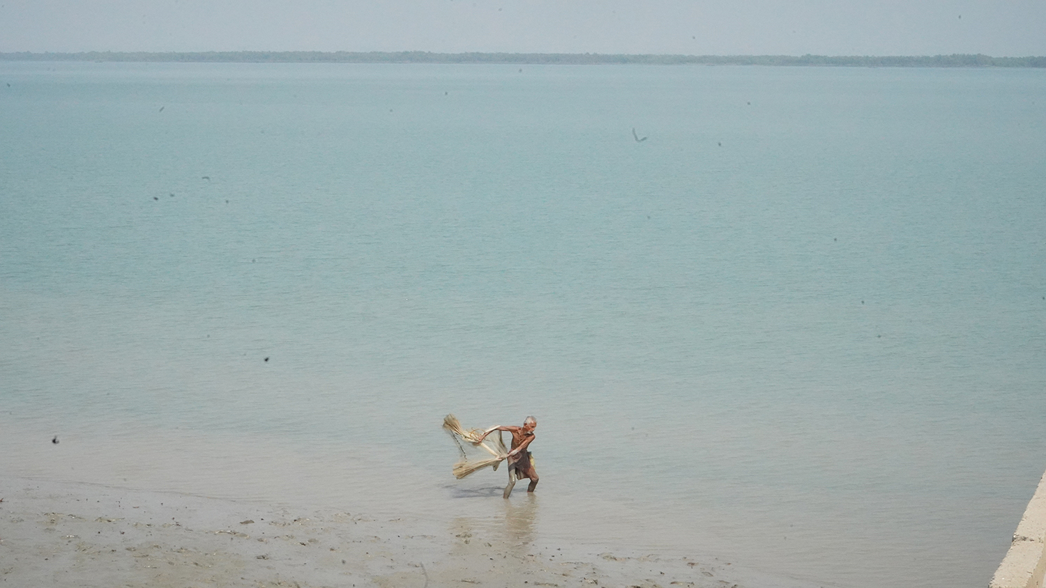 A fisherman casts a net as he stands surrounded by water.