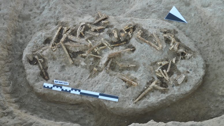 Sofular Excavation Site in Central Anatolia, Türkiye